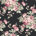 Pink/Black