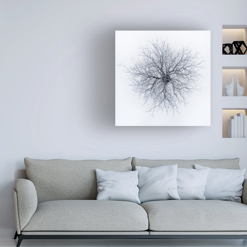 Bolog Branko Markovic  Dendrites Canvas Art, 24" H x 24" W