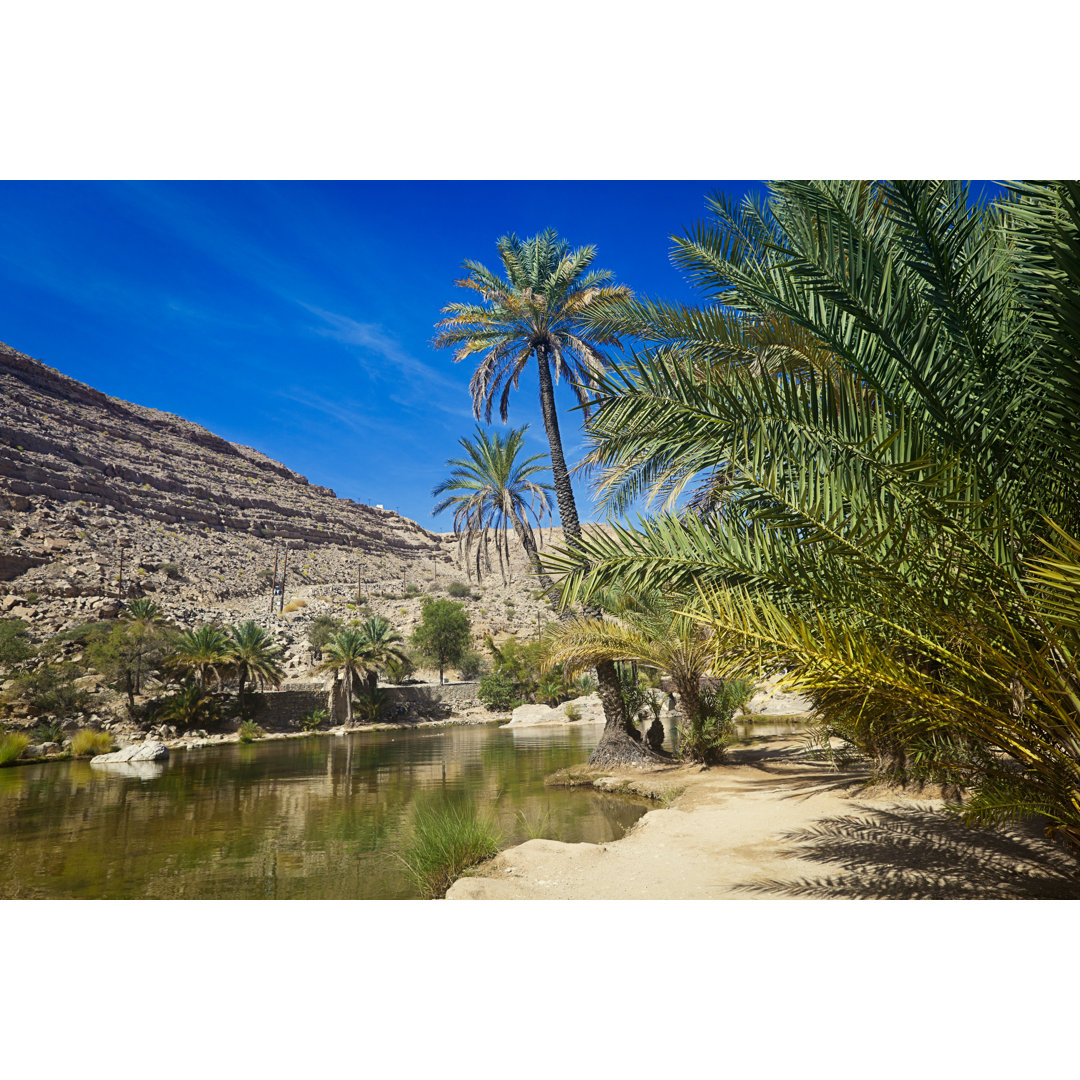 Wadi bani khalid oman