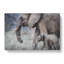 Mother And Baby Elephant Vol.1 - Wrapped Canvas Print-61841925