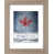 Gris mat est en rupture de stock