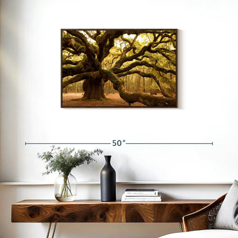 Mossy Ancient Oak Tree, Floating Frame Walnut, 31" X 21"