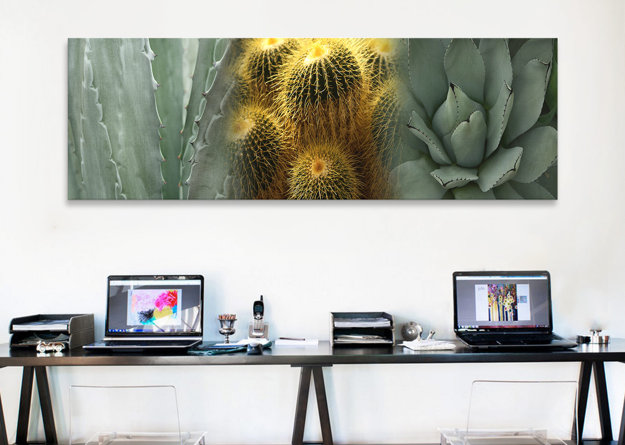 Cactus - reproduction de photo sur toile tendue