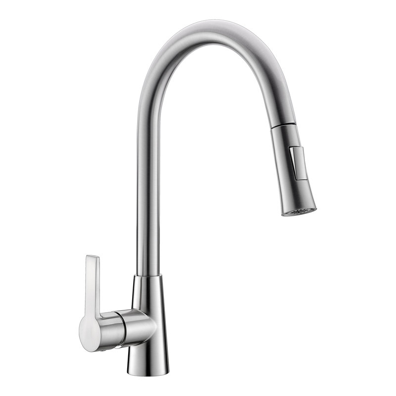 Belfry Kitchen Freelon Pull Out Kitchen Faucet