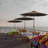 Ozia 106.3'' Market Umbrella