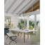 Forest Dawn 8 - Light LED Chandelier