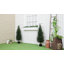 120cm Faux Cypress Plant in Plastic / Acrylic Pot
