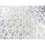 Tapis gris en laine et en soie noué à la main 10 pi x 14 pi 1 po 1BBF5D51337C4F75A8C7666922F949D9