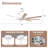 Modern 65'' Double-Sided Blade Windmill Large Ceiling Fan with Dimmable 3CCT LED Lights and Remote Control, 6-Speed Reversible DC Motor, Timer, 4"/10" Downrods, for Indoor/Covered Outdoor-724979342
