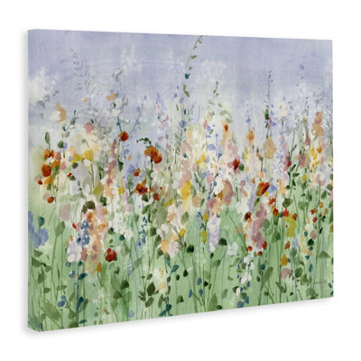Wild And Free Meadow Canvas, design by Danhui Nai