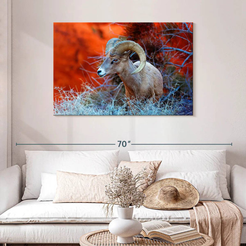 Brampt Bighorn Sheep Ram, 30" H x 45" W