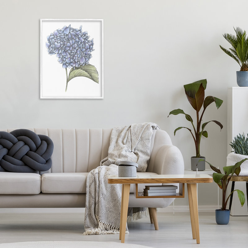 Hydrangée, croquis, giclée encadrée, conception par Cecilia Battaini, H 20 po x l 16 po