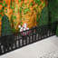 Plastic Border Fencing