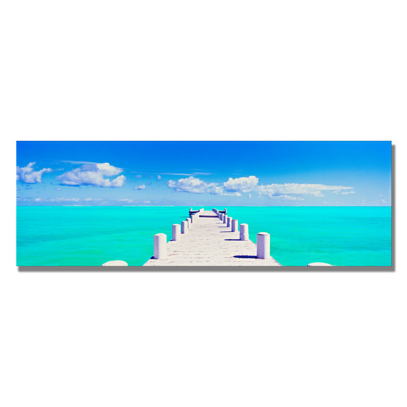« pompano », épreuve photographique, H 12 po x l 32 po x P 2 po, Toile tendue