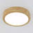 Armelinda LED Flush Mount