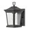 Bromley 1-Light Outdoor Wall Lantern