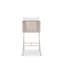 Outdoor Bar Stool