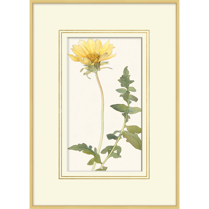 Blooming Study 2 Print