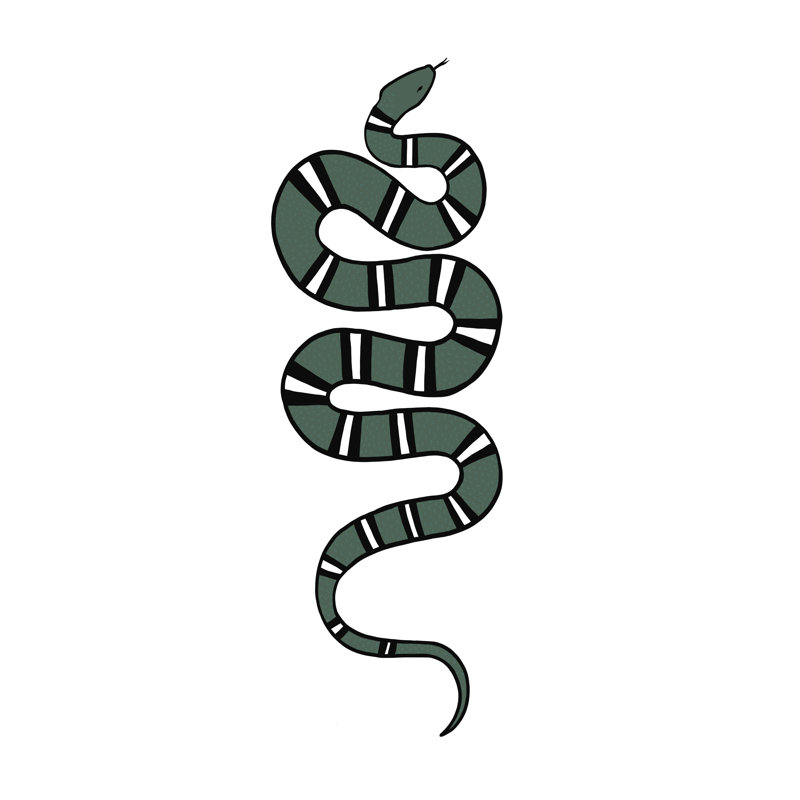 Epidaurus Snake V by Emma Scarvey - Wrapped Canvas Painting, 122 cm H x 81 cm W, Wrapped Canvas
