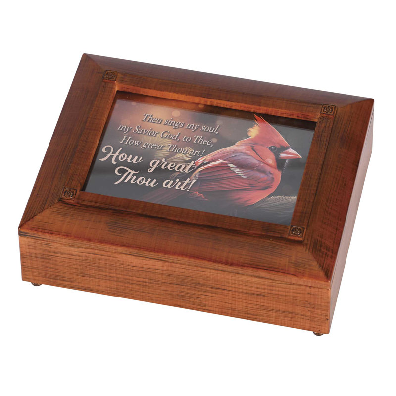 Juaniqua Plastic Memory Box
