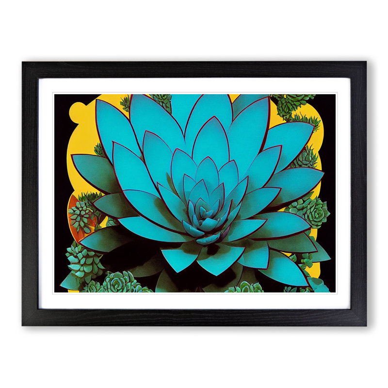 Splendid Succulent Plant - Framed Print, Black, 25cm H x 34cm W x 2cm D
