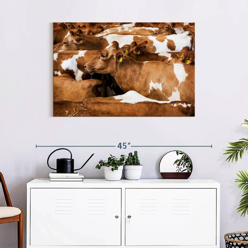 Brampt Guernsey Cows, 24" H x 36" W