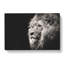 Portrait Of A Proud Lion - Wrapped Canvas Print-56630733