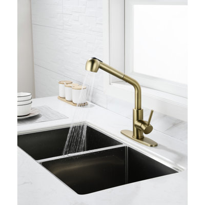 Single Pull-Out Faucet With Dual Spray In Spot Gold Stainless For Utility Use, High Nozzle 360 Rotation, Dirt And Rust, Easy To Maintain Steel Sink Spray, Rotating Nozzle, Rust Surface, Good Daily Use