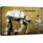 Wrapped Canvas