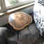 Photos des clients 1 de 1