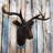Rustic Animals Wall Decor on Resin-1736943022