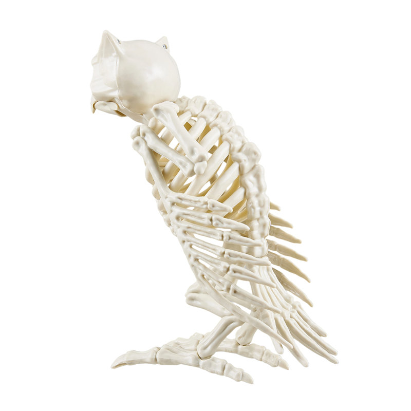 Halloween Decorative Accent
