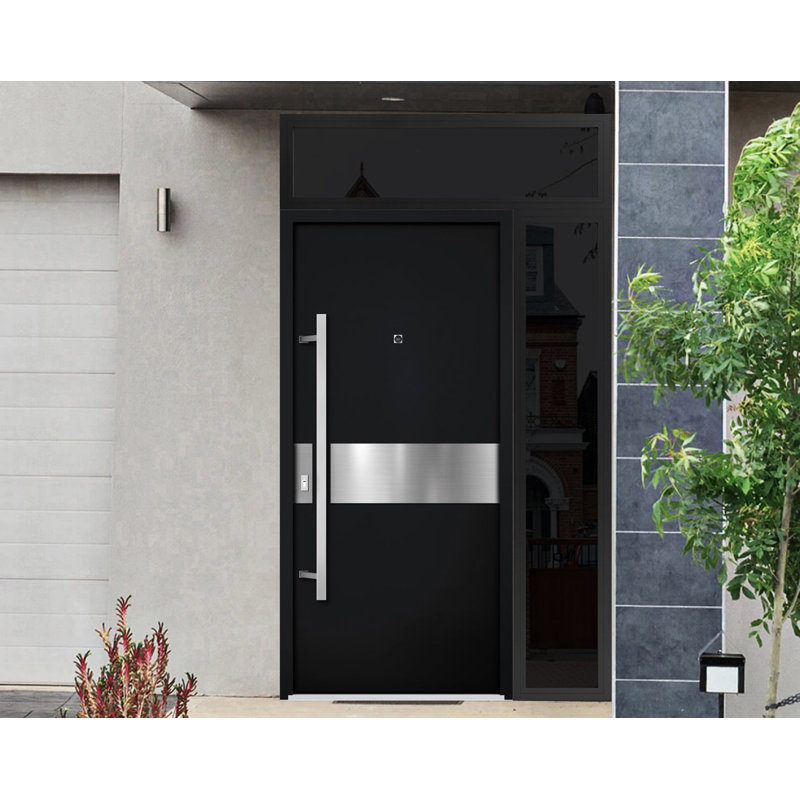 Modern Black Enamel Steel Double Door with Sidelites