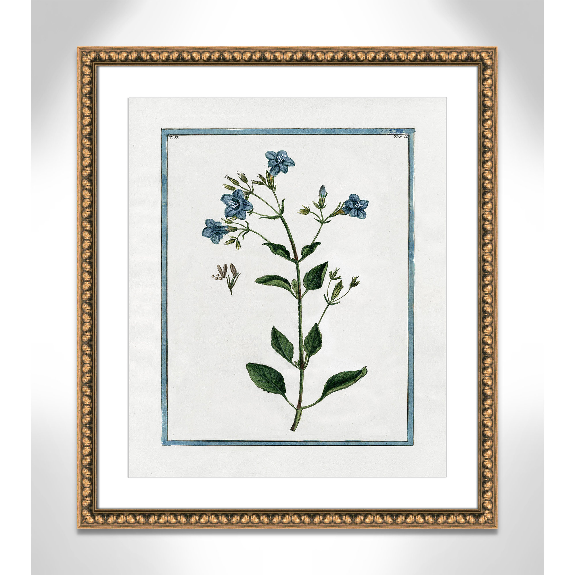 Shabby Elegance Botanical II - Framed Art, 22.5" W x 26.5" H, Gold Bead Framed
