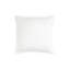 Luxe Square Pillow Cover & Insert-72109748-72109747