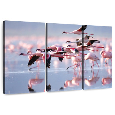 Flamants nains Brampt