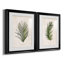 Palm Botanical I - ensemble de 2 impressions-1211584034-1280204983-1287904959
