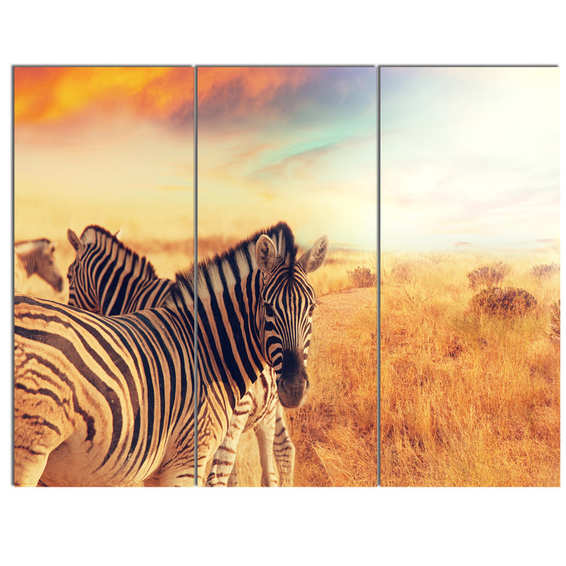 Sunset Zebras Herd Canvas Print in 36" x 28"