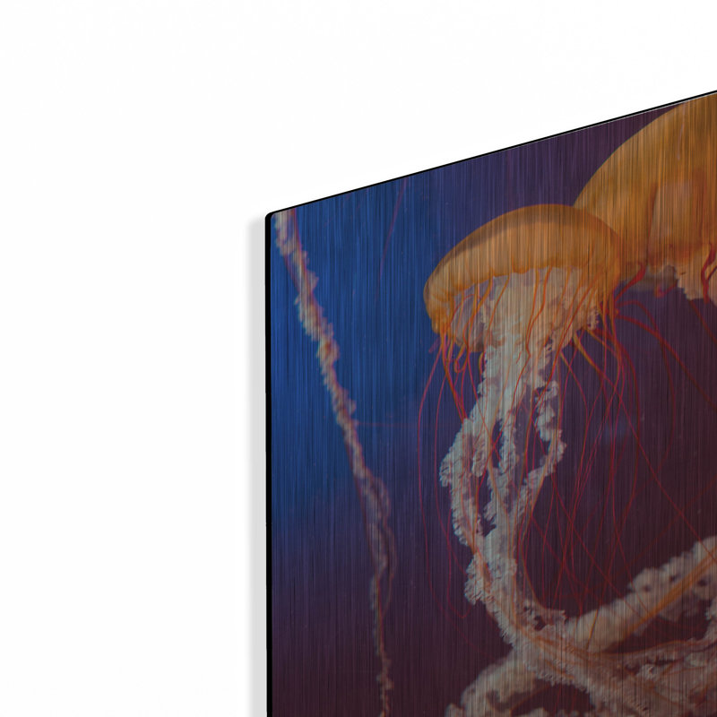 «Jelly 3» par PhotoINC Studio, H 16 po x l 12 po
