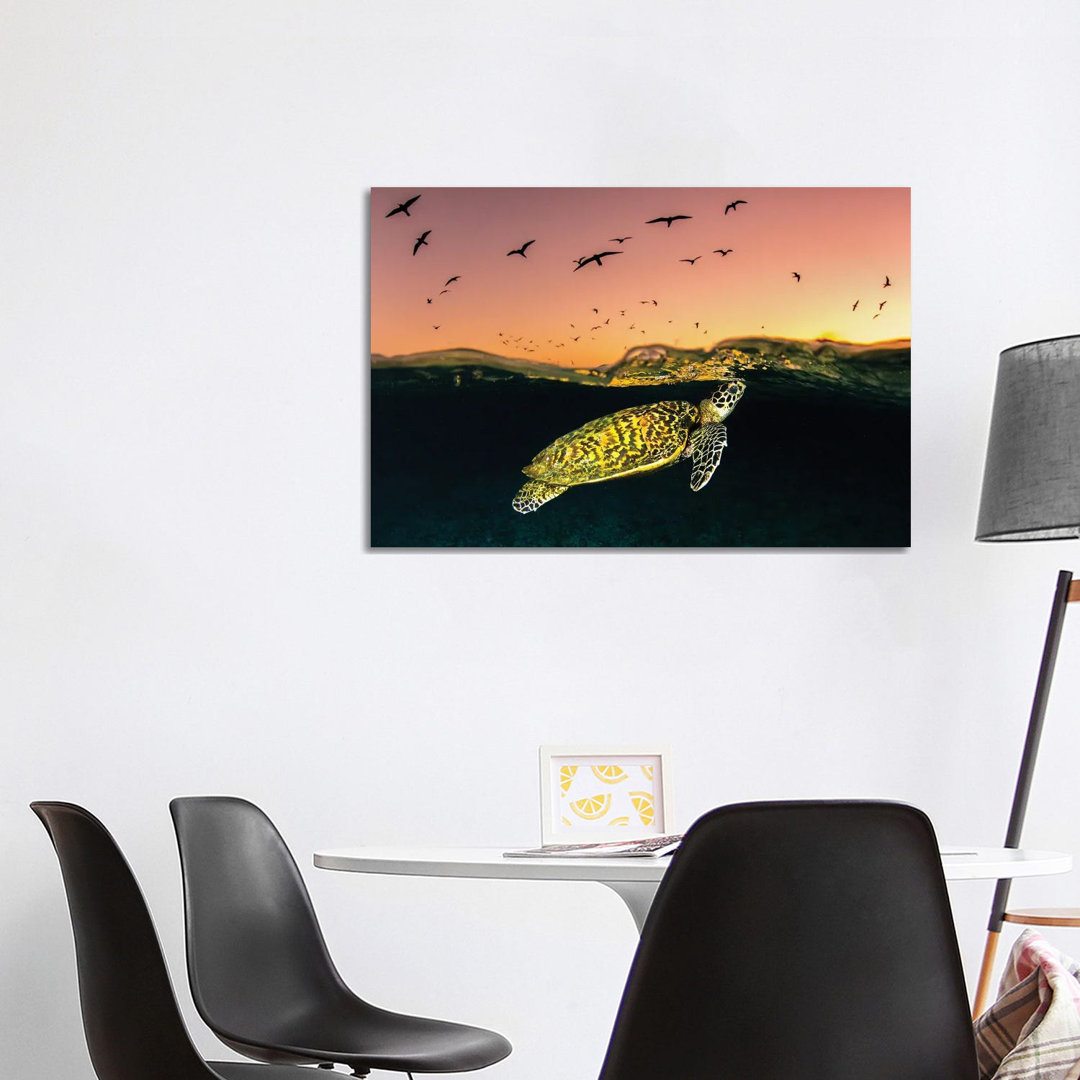 Hawksbill Sea Turtle Sunset von Jordan Robins - Gallery-Wrapped Canvas Giclée on Canvas