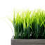 25 cm Artificial Grass in Planter-329398816