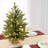 24" Artificial Tabletop Tree With 25 Led Lights