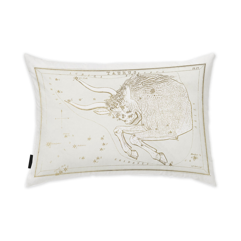 Zodiac Rectangular Pillow Cover & Insert