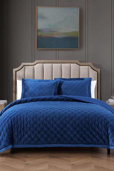 Shop Velvet Comforter Sets
