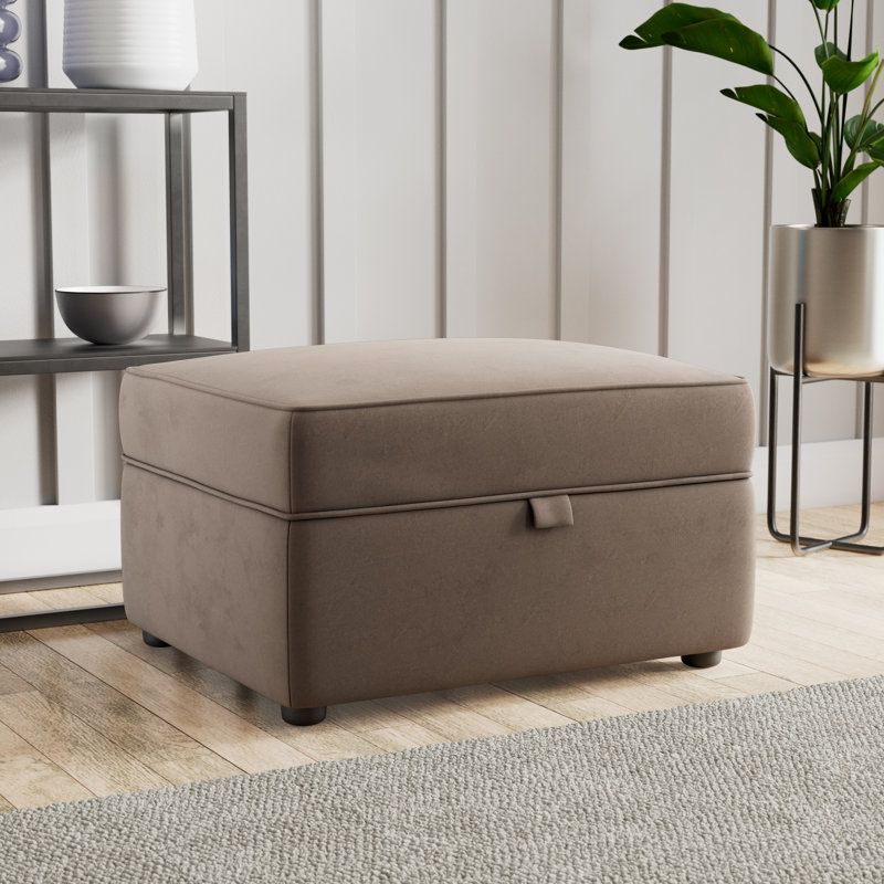 Birjesh 63cm Wide Rectangle Solid Colour Footstool Ottoman with Storage, Mole