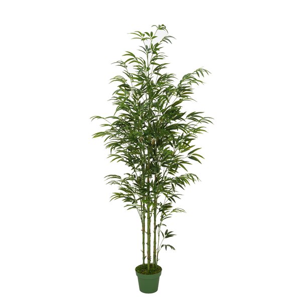 Primrue Faux Bamboo Tree in Planter | Wayfair