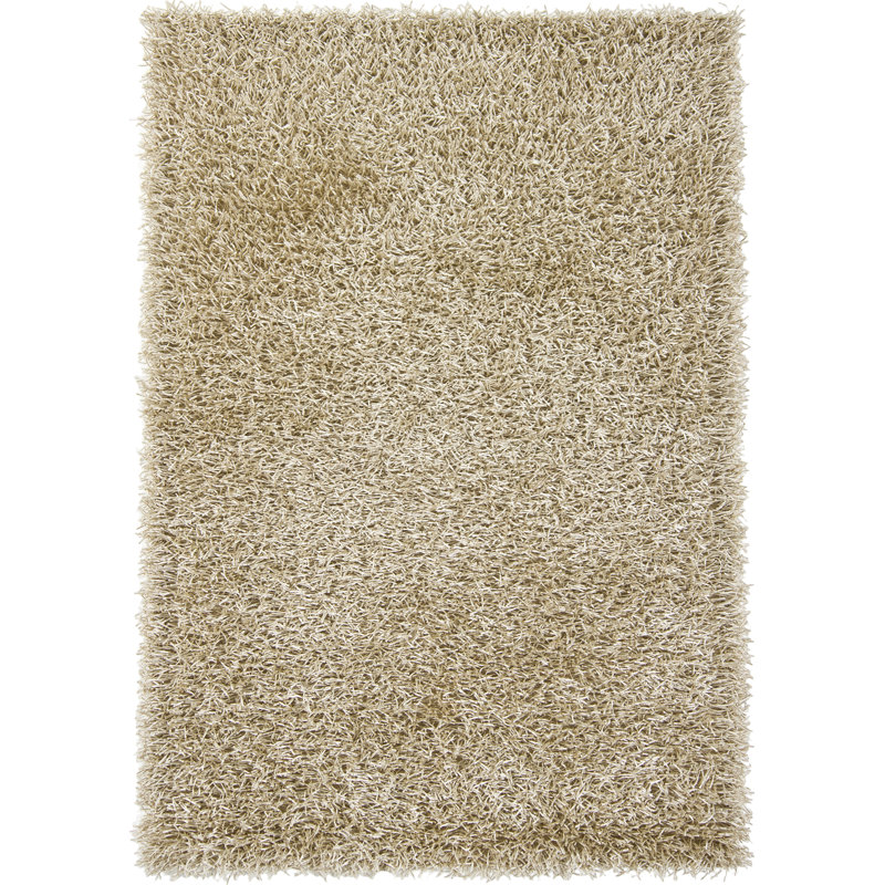 Tapis beige tissé à la main Latitude Run® Latitude Run®, Rectangle 5 pi x 7 pi 6 po