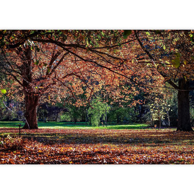 Murale parc d'automne