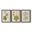 «Antique Leaves VII», ensemble de 3 peintures sur toile encadrées-1018014667-1018014664