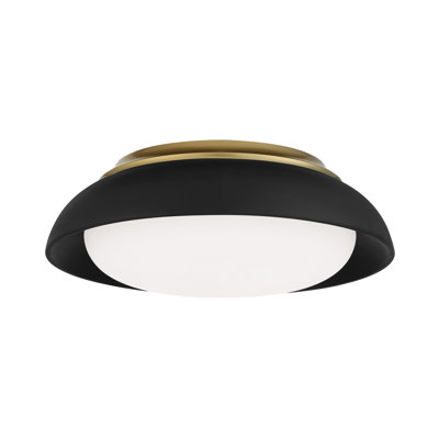 Acrylic LED Flush Mount